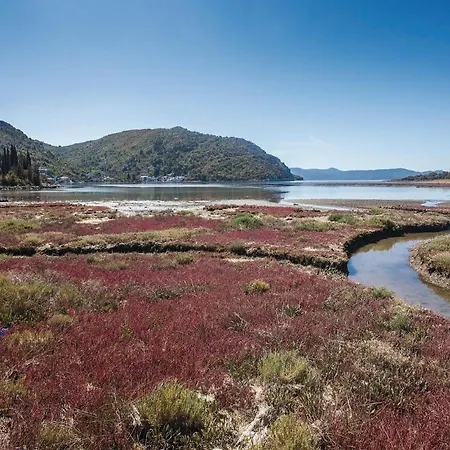 2 Bedroom Awesome In 布拉采